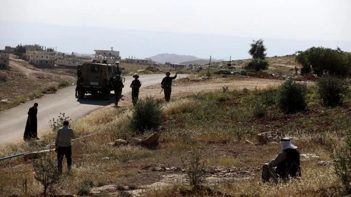 Pemukim Ilegal Israel Serang Desa dan Bakar Ladang Zaitun Palestina di Tepi Barat